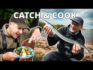 Catch & Cook! På Jagt Efter Kystens Næbdyr…🎣🌊