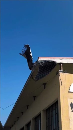 #song ❤❤❤❤❤