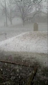 7.8K views · 120 reactions | Wow! Look at all the hail that fell with a severe thunderstorm in Sherman, Texas on Thursday afternoon. #TXwx | FOX Weather | Facebook