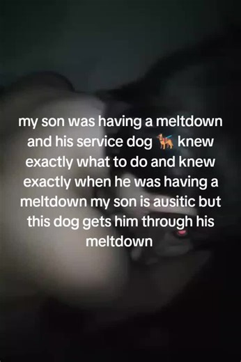 mom of 4 kids🇭🇳🇺🇸🇵🇷 (@momof4awesome)’s videos with My Process Doesn’t Need Approval - Sandro Rodrigues Braga