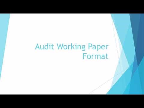 Lesson 1 : Audit work paper format