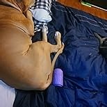 Eddie Bauer - Twin Comforter Set, Reversible Cotton Bedding with Matching Sham, Pre-Washed for Added Softness (Kingston Navy, Twin)