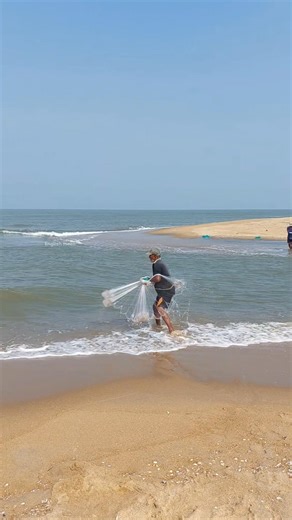 sea fishing net casting #fishing #fisherman #seafishing #fish #shorts #casting