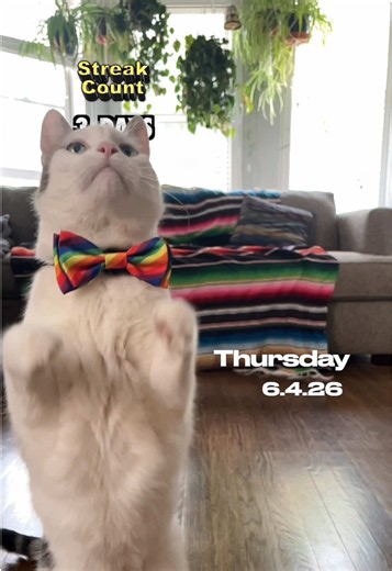 Did Taft Make His Catch Today — Thursday 6.4.26?