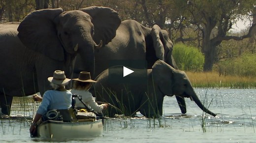 Soul of the Elephant