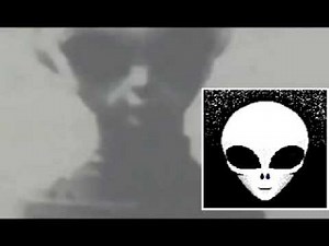 Zeta Report - Skinny Bob