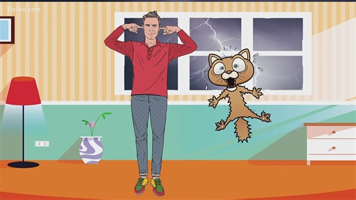 Why do our pets go crazy during a storm?