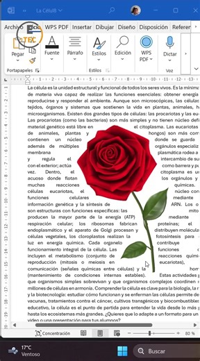 Aprende a colocar imágenes en Word y lograr que el texto fluya a su alrededor con un diseño profesional y atractivo. Ideal para informes, folletos o presentaciones. #Word #Ofimática #TrucosDeWord #DiseñoEnWord #Productividad #MicrosoftWord #AprendeConWord | Etecnology