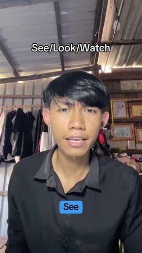 Understanding See, Look, and Watch in English