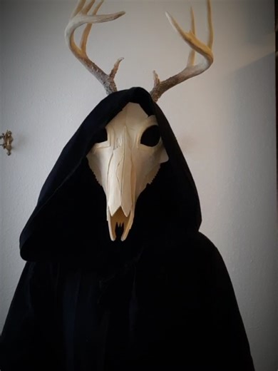 Exploring Useless Knowledge About Cryptids