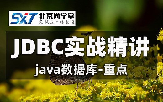 JDBC实战精讲_Java数据JDBC概述_使用JDBC完成添加/更新/删除操作_JDBC常用接口视频教程_JDBC使用PreparedStatement教程