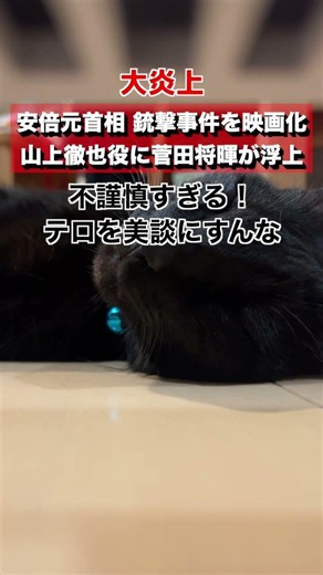 【大炎上】安倍元首相の銃撃事件を映画化。山上徹也役に菅田将暉が浮上...→テロリストを英雄化するな！