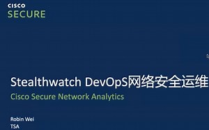 StealthWatch DevOps 网络安全运维讲解
