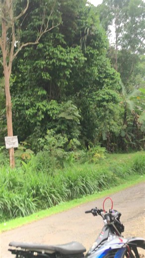 Sonic the Hedgehog Style Tips and Trends