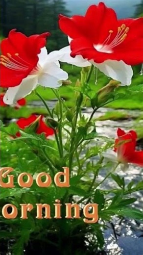 today chicken rate puliangudi