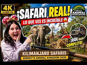 [4K] A full ride through of Kilimanjaro Safaris in Disney's Animal Kingdom at Walt Disney World.