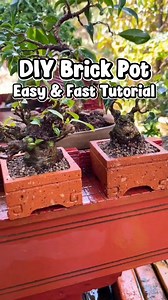 DIY Brick Pot | Easy & Fast Tutorial. #brickpot #diybrickpot #bonsaipot #bonsaipotmaking #bonsaiculture #bonsailovers #bonsai | Gunawan Nikita