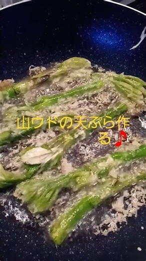 山ウドの天ぷら作る🎵