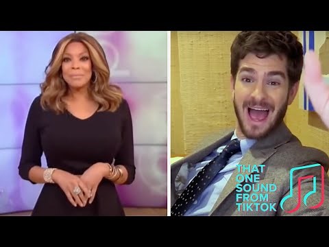 ‘What Was That? OK… James’ - The Wendy Williams Meme & Viral TikTok Sound | That One Sound