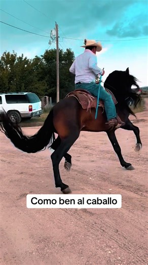 Como Ben al Caballo: Mejores Técnicas para Montar