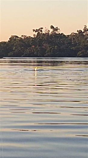 Florida Water #tampa #ruskin