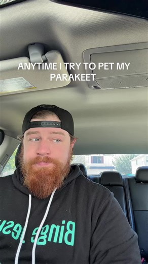 Tips for First-Time Parakeet Owners