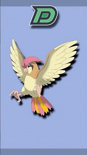 60 Seconds Or Less: Pidgeotto #0017 Pokémon Pokédex Series #pokedex #pokemon #pidgeotto #kanto