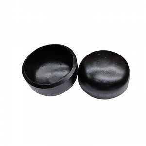 [Hot Item] ANSI Pipe Fittings Stainless Carbon Steel Seamless Forged Protection Cap