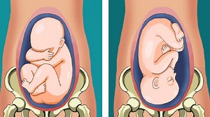 494K views · 3.2K reactions | Preparing for the arrival of a new baby...