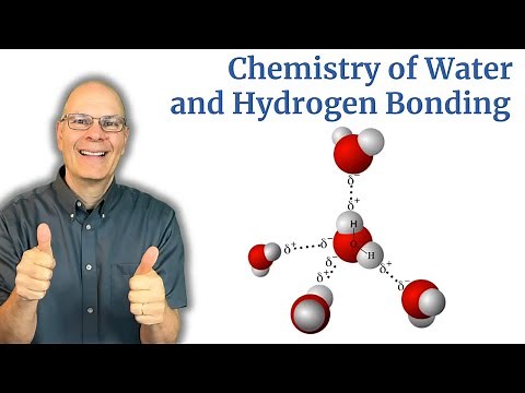 Water's Secret Stickiness: Polarity, Hydrogen Bonds, and Molecular Cohesion Explained!
