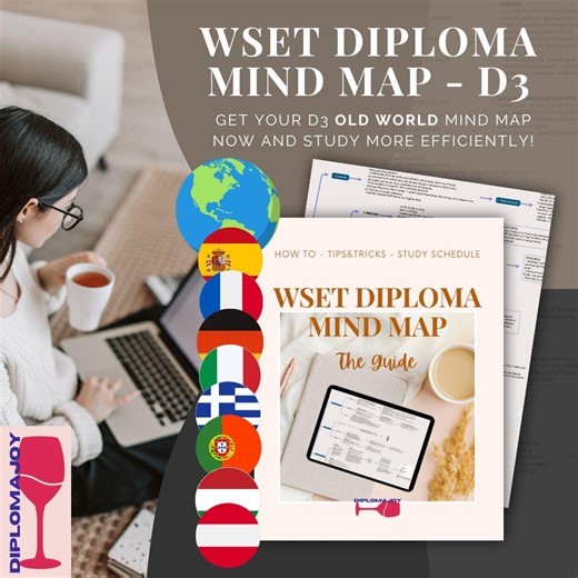 WSET Diploma D3 Old World Mind Map (visual Theory Summary)