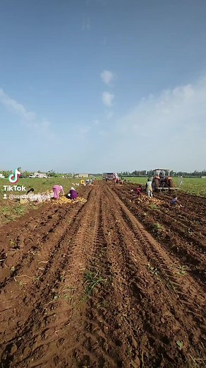 Exploring Rural Farming Practices in Agricultural Settings