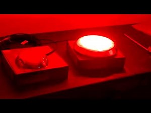 FLALED.COM Pool Baron Nicheless Color LED Light Demonstration FLALED.COM