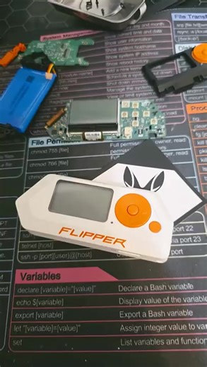 Flipper Zero Flip-Flex from @Rabbit-Labs #flipperzero #flipper #zero