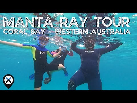 An amazing Manta Ray tour out of Coral Bay in Western Australia