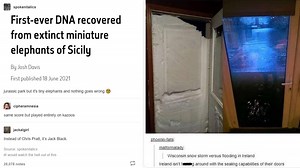 22 Posts From What Tumblr Has Evolved Into In 2021