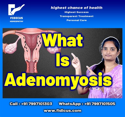 Call : +917997101303 | Whatsapp : https://wa.me/917997101505 |...