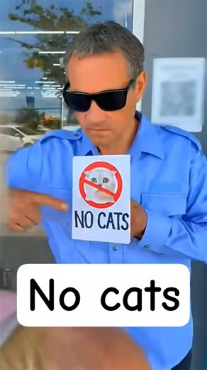 no cats #cat #shopping #pets