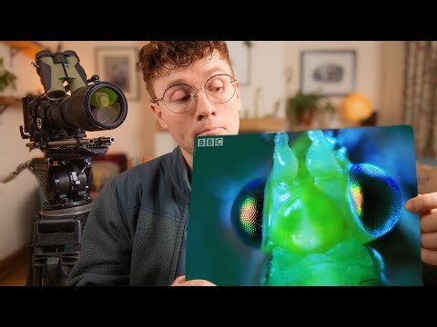 I Turned My One Bedroom Flat into a BBC Wildlife Studio