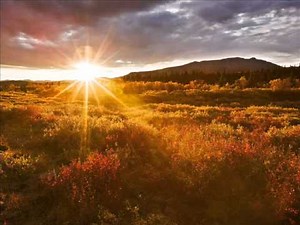 Zephyr - No Time Lonesome (Sunset Ride,1972)