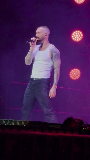Animals Maroon 5 movistar arena @Maroon5 #maroon5 #envivo #argentina #adamlevine #concert #fyp