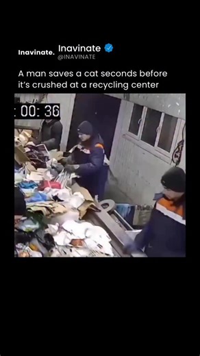 Inavinate on Instagram: "A split-second instinct turned disaster into a miracle when a recycling plant worker in Ulyanovsk noticed a plastic bag twitching on a conveyor belt moments before it reached a crushing machine. He hit the emergency stop, ripped the bag open, and found a terrified black-and-white cat inside—alive, shaking, and seconds from death. The cat, later named Kite, was rescued, adopted, and given a safe new life, while the worker was praised for his quick thinking and compassion.