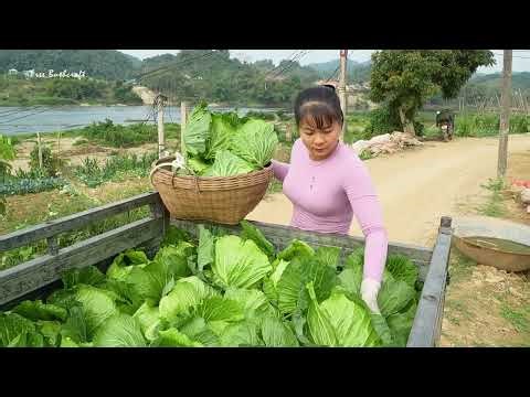 "Unveiling the Future: What Chinese Blogs Will Look Like in 2026!"