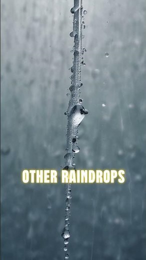 The Amazing Journey of a Raindrop