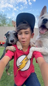 17M views · 828K reactions | Behind the scenes: Front row drip, back row confusion classic Tiger selfie  | Super Cattledogs | Facebook