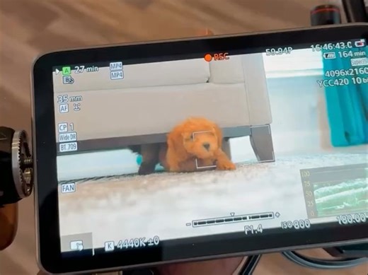 监看助手|1000nit 7寸艾肯LH7H监视器 佳能C70