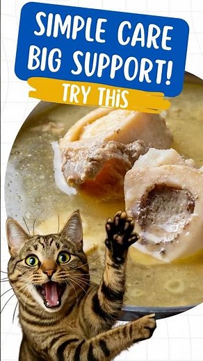 I Started Making Bone Broth for My Cats