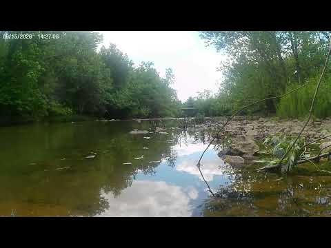 Olentangy River Conservation: Cherry Street Boat Access (Facing Southwest)