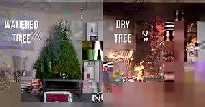 This is why you're advised to water your Christmas tree - terrifying how quickly fire spreads when the tree is dry... http://www.thenorthernecho.co.uk/news/15780884.FIRE_WARNING__Do_you_keep_your_Christmas_tree_well_watered__You_will_after_you_watch_this___/ | The Northern Echo