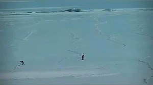 Americans have always known “why” | Department of Homeland Security